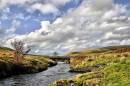 BIL1406_Pont-y-Elan_1066_x_712_.jpg