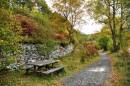 BIL1546_Elan_Valley_Path_1000_x_664_.jpg