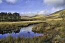 BIL3218_Ffrwd_Stream_1072_x_712_.jpg