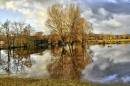 BIL3361The_Water_Meadow_1072_x_712_.jpg
