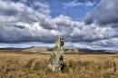 BIL5784_Carreg_Waun_Llech_1072_x_712_.jpg