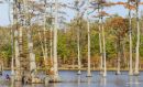 BUIE_POND_SMALL_WM_RS_0002.jpg