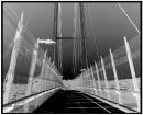 BW_border_negative_bridge.jpg