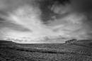 B_W-Vignette-Bleak-landscape-and-sky.jpg