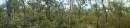 Backyard_Pano.JPG