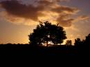 Baildon_Moor_B_aht_At_.jpg