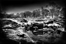 Bells_Rapids_Mono_A.jpg