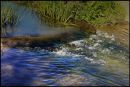 Belstead_Brook.jpg
