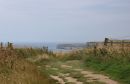 Bempton_Cliffs_4-8-2019.jpg