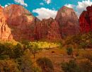 Big_Bend-9700-25_14x11_web-sm.jpg
