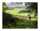 Black_Combe_031.jpg