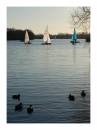 Blue_Sails.JPG