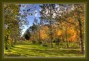 Bodenham-3134.jpg
