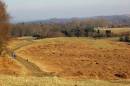 Bradgate_Park_Leicestershire_800_x_532_700_x_466_.jpg