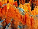 Bryce-0076_14x11_web.jpg