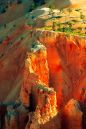Bryce-0109_12x18_web.jpg