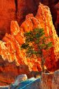 Bryce-0152_12x18a_web.jpg