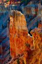 Bryce-9867_web.jpg