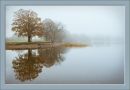 Buttermere-2016_copy.jpg