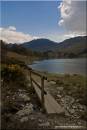 Buttermere_Path.jpg
