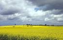 CRW_8113-02_filteredwf.jpg
