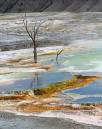 Canary_Springs_D700_4465_11x14.jpg