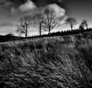 Carno3_BW_DSC5625.jpg