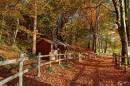 Chapel_Woods1.jpg