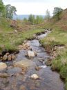 Cogden-Gill.jpg