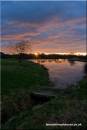 Coppice_Sunset_Web_edited-1.jpg
