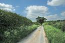 Country-Lane.jpg
