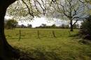 Country_Side_1.jpg Country_Side_1.jpg