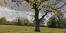 Country_Side_2.jpg