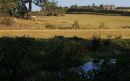 Country_landscape.jpg