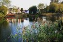 Country_landscape3.jpg