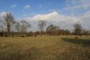 Countryside_View.jpg