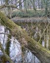 Coverdale16_03_2012-003-800.jpg