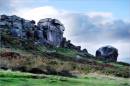 Cow_Calf_Ilkley.jpg