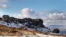 Cow_Calf_Mar_18.jpg