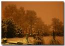 CranSnow251204a_15_.jpg