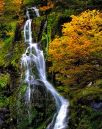 D3S8918_2x_11x14.jpg