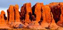 D707845_15x7.jpg