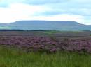 DALES_14.jpg