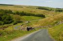 DALES_7.jpg