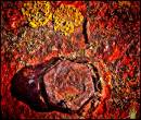 DECAY_7.jpg