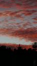 DSC000291.jpg