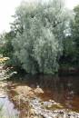 DSC00124.JPG