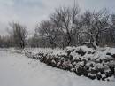 DSC00555a.jpg