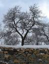 DSC00588a.jpg