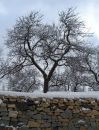 DSC00588a1.jpg